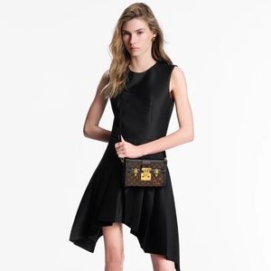 Louis Vuitton Petite Malle handbag